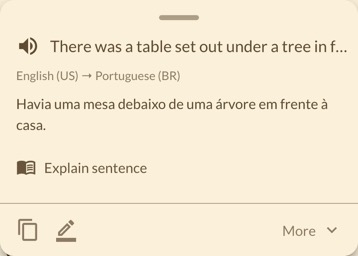 A sentence translation in LingoReader's translation panel